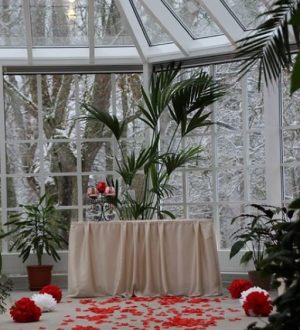 Sangaste Castle Winter Garden 1