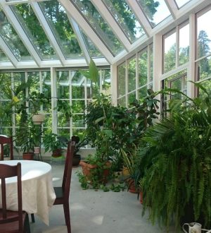 Sangaste Castle Winter Garden 3