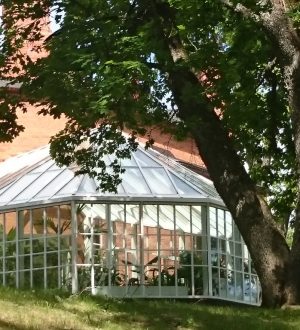 Sangaste Castle Winter Garden 4