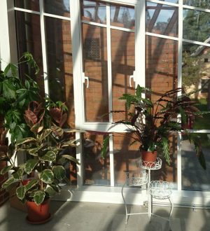 Sangaste Castle Winter Garden 8